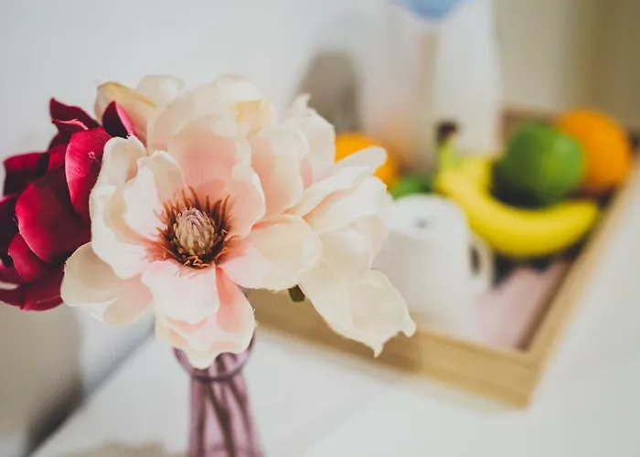 Bed & Breakfast Porta Adriatica